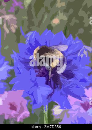 Illustration d'une abeille bourdonneuse se nourrissant d'une fleur de maïs bleue. Banque D'Images