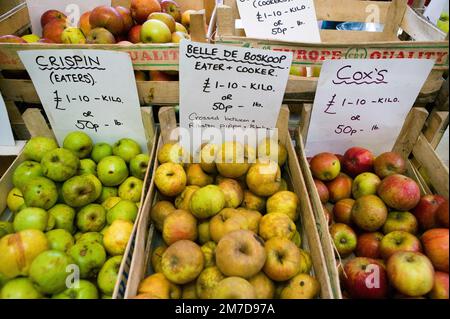 Stroud Farmers marché et un stand vendant des pommes biologiques et maison affiche une variété de fruits différents dans des boîtes, y compris des pommes qui ne sont jamais vues sur les étagères de supermarchés tels que Belle de Boskoop, Crispin et d'autres. Banque D'Images