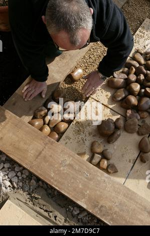 Préparer les surfaces de travail et de terrasse dans un petit jardin et poser les plantes à planter. Banque D'Images