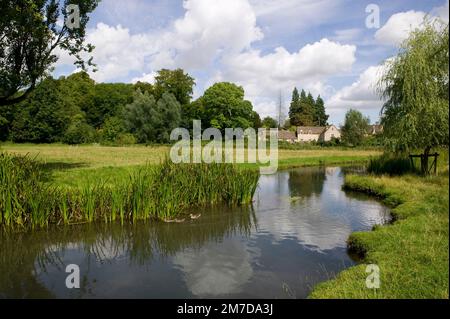 La vue sur les prés et les méandres de la rivière Colne au bord du village de Coln St Aldwyns dans la belle campagne des Cotswolds, Gloucestershire, Royaume-Uni. Banque D'Images