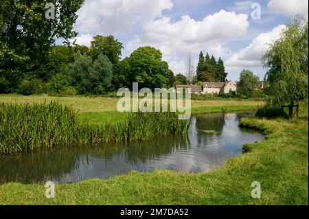 La vue sur les prés et les méandres de la rivière Colne au bord du village de Coln St Aldwyns dans la belle campagne des Cotswolds, Gloucestershire, Royaume-Uni. Banque D'Images