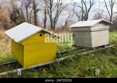 Champ de campagne avec ruche d'abeilles, en hiver. Apiculture / apiculture : apiculture / ruche d'abeilles / ruches d'abeilles en Savoie / Savoie. France. (133) Banque D'Images