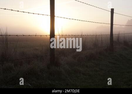 Les couchers de soleil sur un champ dans le pays de jeter dans une silhouette de barbelés qui traverse les champs. Banque D'Images