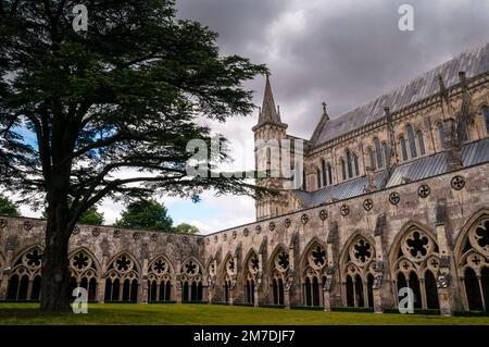 Cloîtres gothiques anglais de la cathédrale de Salisbury à Salisbury, Wiltshire, Angleterre. Banque D'Images