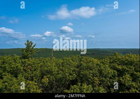 Vue spectaculaire depuis le feu du parc national Cook Forest en Pennsylvanie. Banque D'Images