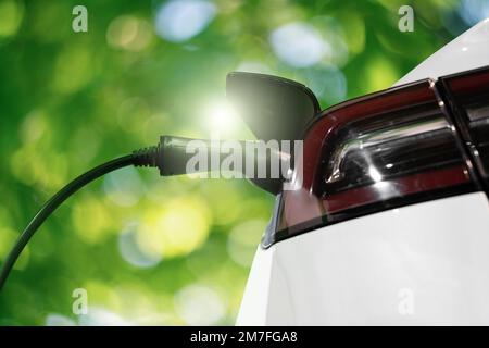 Gros plan de la prise électrique de la voiture avec un câble de charge connecté sur fond vert Banque D'Images