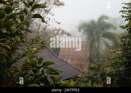 Matin brumeux sur les montagnes tropicales avec des toits de bungalows dans le brouillard. PAI, Nord de la Thaïlande. Banque D'Images