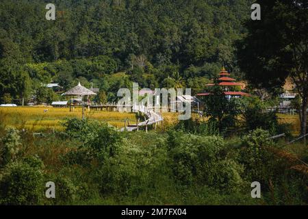 Kho Ku SO Bamboo Bridge au-dessus des rizières de Pai, en Norhann Thaïlande Banque D'Images