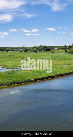 Un plan vertical d'une rivière dans un champ vert entouré d'arbres luxuriants à St. marys Ontario, Canada Banque D'Images