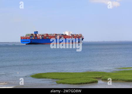 un gros cargo navigue à travers la mer westerschelde vers anvers avec un marais salé vert au premier plan Banque D'Images