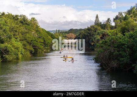 Haleiwa, Oahu, Hawaii, États-Unis – février 2019 : les gens se tiennent debout pagayer et faire du kayak dans la rivière Banque D'Images