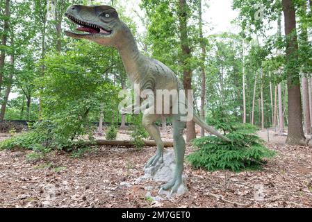 Dinosaure, Tyrannosaurus Rex dans la jungle Banque D'Images