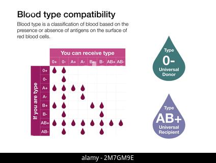 Graphique expliquant la compatibilité entre les différents types de sang des humains Banque D'Images