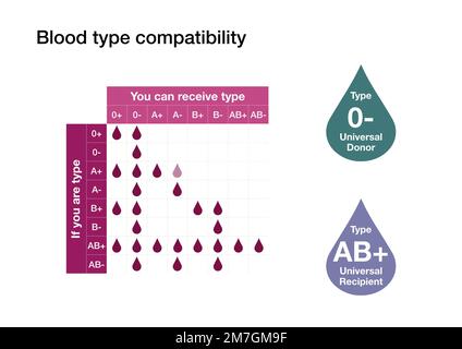 Graphique expliquant la compatibilité entre les différents types de sang des humains Banque D'Images