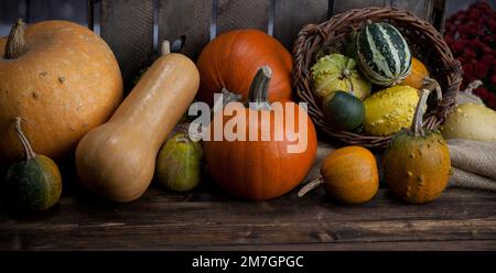 Citrouille. Différentes variétés de citrouilles sur un fond en bois Banque D'Images