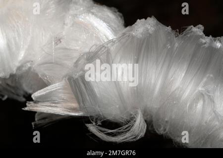 Cheveux glace corps de fruits blanc aiguilles de glace ondulées sur la branche Banque D'Images