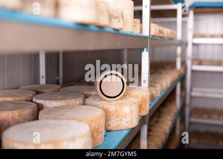 Têtes de fromage de chèvre en magasin de maturation, une roue avec copyspace Banque D'Images