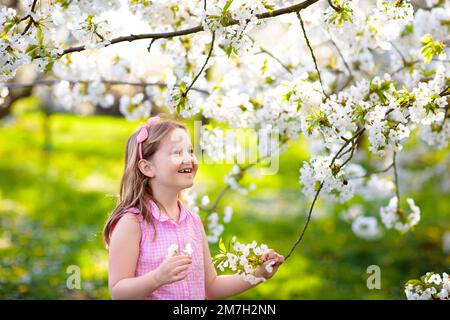 Les enfants jouent dans le parc au printemps. Petite fille dans le jardin ensoleillé de fleurs de cerisiers et de pommiers. Enfant jouant à l'extérieur. Kid regardant fleur fleur de soleil Banque D'Images