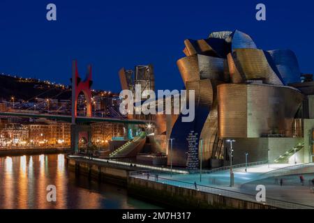 Vue nocturne du musée Guggenheim sur l'estuaire de la rivière Nervion. Bilbao, Espagne Banque D'Images