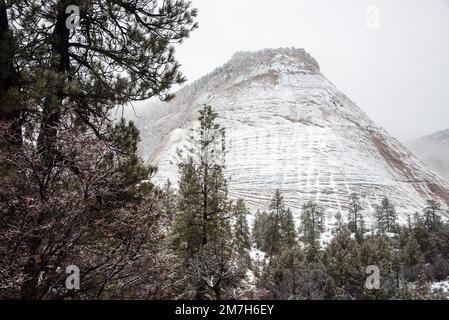 Damier Mesa couvert de neige, parc national de Zions, Utah, États-Unis. C'est l'une des centaines de caractéristiques géologiques du parc. Banque D'Images