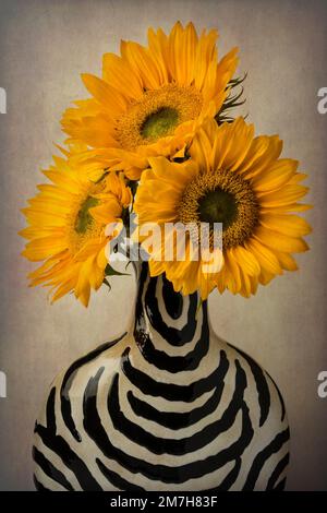 Trois tournesols dans un vase à rayures Banque D'Images