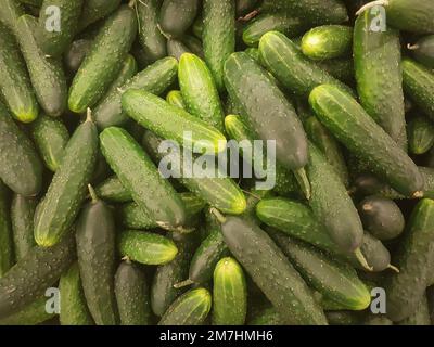 il y a beaucoup de concombres frais sur le comptoir du supermarché Banque D'Images