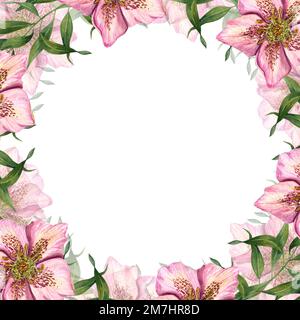 Cadre floral carré avec hellébores aquarelles isolées sur fond blanc. Pour la conception de cartes de vœux, modèle d'invitation, pour cartes de Saint-Valentin Banque D'Images