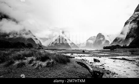 Un matin brumeux au Milford Sound Banque D'Images