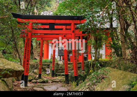 Portes japonaises rouge vif sur une passerelle en pierre menant au petit sanctuaire en bois Banque D'Images