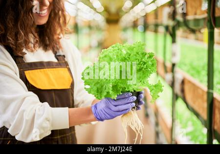 Gros plan de la jeune femme dans des gants de jardin en caoutchouc tenant la laitue et souriant en se tenant debout en serre. Jardinier femelle avec plante verte dans les mains sur fond flou. Banque D'Images