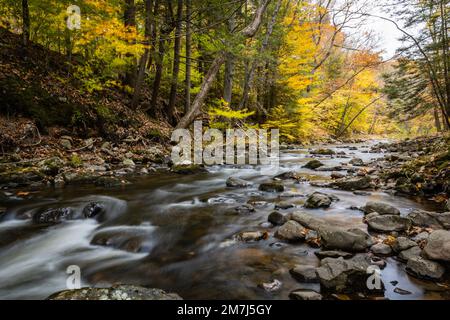 Une belle photo d'une rivière rocheuse qui coule dans la forêt d'État de Stokes, dans le comté de Sussex, NJ Banque D'Images