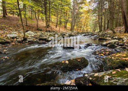 Une belle photo d'une rivière rocheuse qui coule dans la forêt d'État de Stokes, dans le comté de Sussex, NJ Banque D'Images