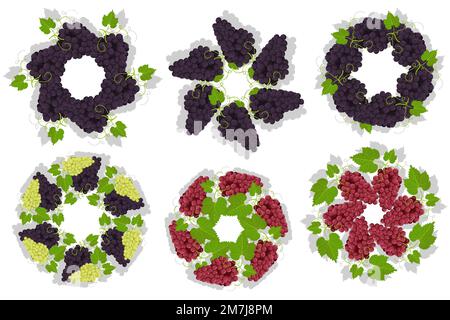 Bouquet juteux de raisins avec des feuilles et des tendrils pour décorer la nourriture. Bouquet de raisins sous forme de soleil ou de fleur sur le plat. Vecteur de dessin animé isolé sur W Illustration de Vecteur