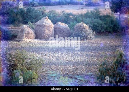 Village Scene, Gujrat, Inde Banque D'Images