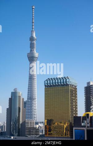 Tokyo, Japon. 9th janvier 2023. Tokyo Skytree est une tour importante située à Sumida. Située à 634 mètres de haut, elle est la plus grande tour du Japon et la troisième plus grande structure artificielle sur terre. Achevé en 2012, il sert de tour de télécommunications et de terrasse d'observation, offrant une vue panoramique sur le paysage urbain de Tokyo. La tour dispose de deux ponts d'observation, d'un centre commercial, de plusieurs restaurants et d'un aquarium dans la base. Tokyo Skytree est devenu une attraction touristique majeure, attirant des millions de visiteurs chaque année. Il héberge l'équipement de diffusion pour NHK TV, Fuji Television, Banque D'Images