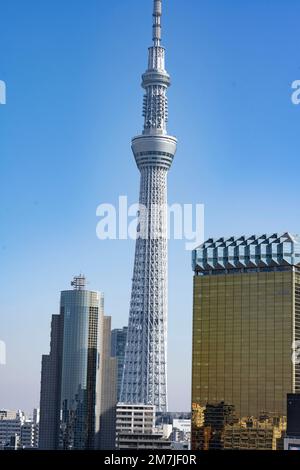 Tokyo, Japon. 9th janvier 2023. Tokyo Skytree est une tour importante située à Sumida. Située à 634 mètres de haut, elle est la plus grande tour du Japon et la troisième plus grande structure artificielle sur terre. Achevé en 2012, il sert de tour de télécommunications et de terrasse d'observation, offrant une vue panoramique sur le paysage urbain de Tokyo. La tour dispose de deux ponts d'observation, d'un centre commercial, de plusieurs restaurants et d'un aquarium dans la base. Tokyo Skytree est devenu une attraction touristique majeure, attirant des millions de visiteurs chaque année. Il héberge l'équipement de diffusion pour NHK TV, Fuji Television, Banque D'Images