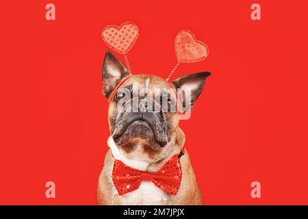 Chien Bulldog français portant un serre-tête de la Saint-Valentin avec coeurs et noeud papillon sur fond rouge Banque D'Images