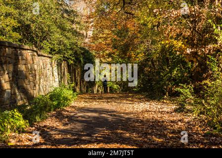 Dumbarton Oaks Park, Georgetown, un quartier historique, et un quartier commercial et de divertissement, Washington, D.C., États-Unis Banque D'Images