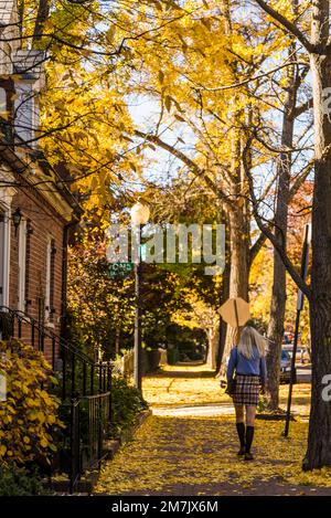 Rue résidentielle de Georgetown, un quartier historique et luxueux, et quartier commercial et de divertissement, Washington, D.C., USA Banque D'Images