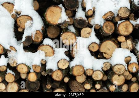Bois de chauffage empilé couvert de neige pendant l'hiver Banque D'Images