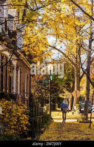 Rue résidentielle de Georgetown, un quartier historique et luxueux, et quartier commercial et de divertissement, Washington, D.C., USA Banque D'Images