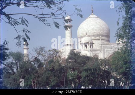 Le Taj Mahal est un mausolée en marbre blanc ivoire islamique sur la rive droite de la rivière Yamuna dans la ville indienne d'Agra. Il a été commandé en 1631 par l'empereur moghol Shah Jahan pour abriter le tombeau de sa femme préférée, Mumtaz Mahal; il abrite également le tombeau de Shah Jahan lui-même. Banque D'Images