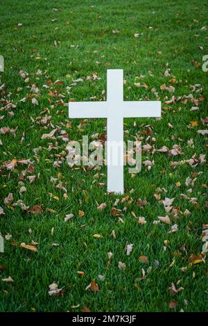 Tombe de Robert F. Kennedy, cimetière national d'Arlington, cimetière de l'armée des États-Unis, Arlington, Virginia, États-Unis Banque D'Images