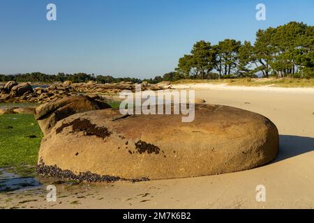 Plage au coucher du soleil dans le parc naturel de Carreirón dans l'île d'Arousa avec la pinède Banque D'Images