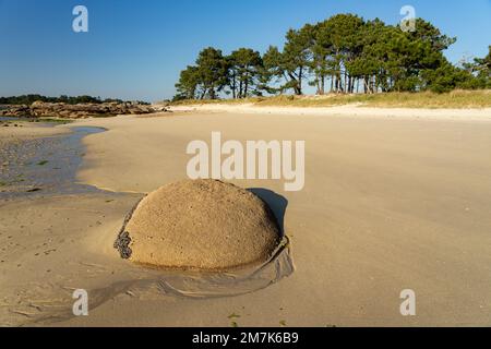 Plage au coucher du soleil dans le parc naturel de Carreirón dans l'île d'Arousa avec la pinède Banque D'Images