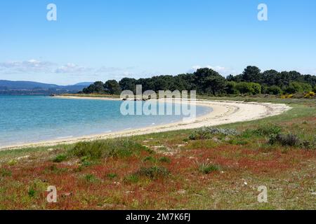 Plage au coucher du soleil dans le parc naturel de Carreirón dans l'île d'Arousa avec la pinède Banque D'Images