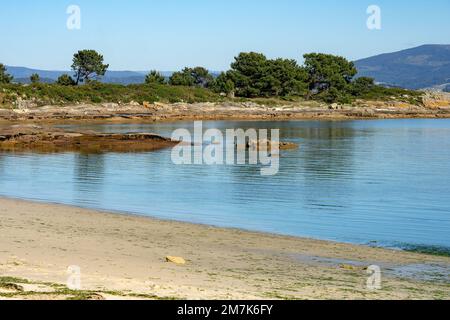 Plage au coucher du soleil dans le parc naturel de Carreirón dans l'île d'Arousa avec la pinède Banque D'Images