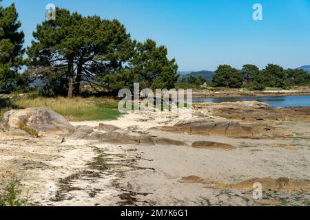 Plage au coucher du soleil dans le parc naturel de Carreirón dans l'île d'Arousa avec la pinède Banque D'Images