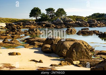 Plage au coucher du soleil dans le parc naturel de Carreirón dans l'île d'Arousa avec la pinède Banque D'Images