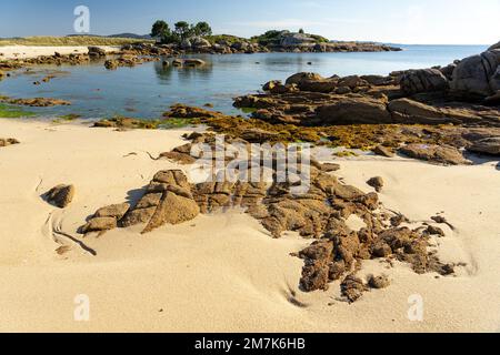 Plage au coucher du soleil dans le parc naturel de Carreirón dans l'île d'Arousa avec la pinède Banque D'Images